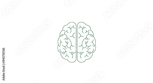 Top view line drawing of a human brain.
