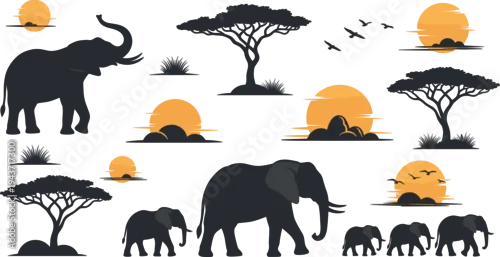 Fototapeta African elephant family silhouettes with acacia trees and sunset landscape vector collection, wildlife safari animals in savanna illustration set