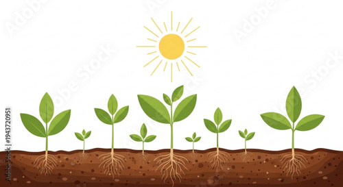 Sprouting seedlings grow in fertile soil under warm sunlight representing new life and growth in a natural environment