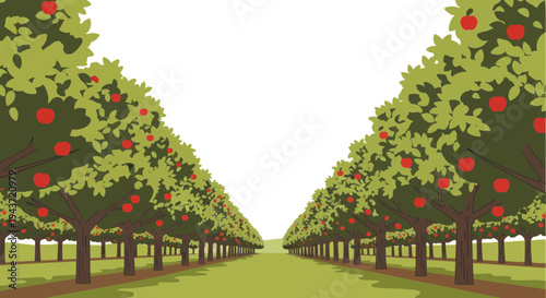 Orchard Rows of Apple Trees with Ripe Red Fruit, Vector Illustration