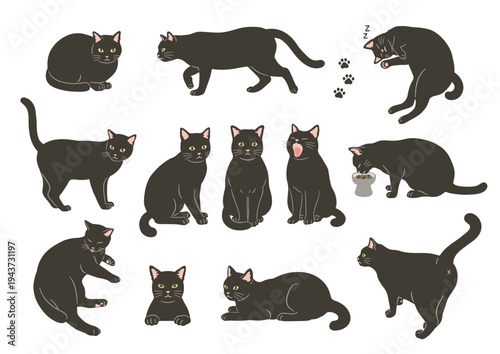 Illustration of a black cat in various poses