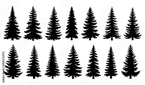 Conifer forest tree silhouettes vintage pine and fir vector set for winter landscape design isolated on white