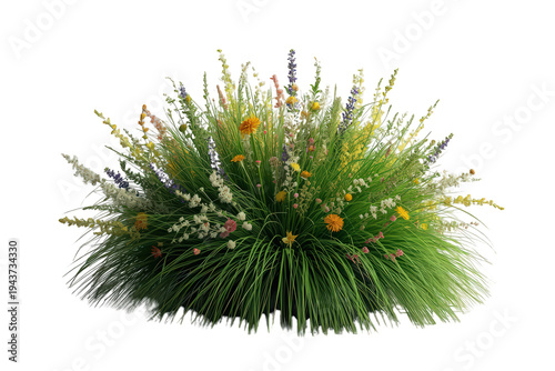 Wildflower clump with green grass and various colorful blossoms on a transparent background