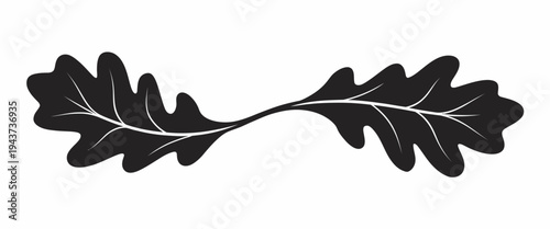 Minimalist black and white of an oak leaf with visible veins