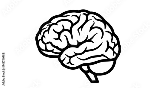 A simple black and white illustration of a human brain
