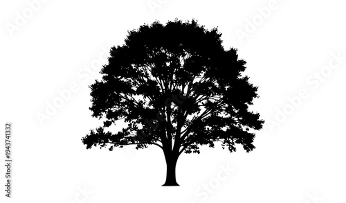 Leafy tree silhouette vector forest botanical element isolated on white background