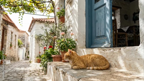 Ginger tabby cat resting on a sunlit stone doorstep by a weathered blue door, surrounded by potted flowers on a charming Mediterranean village street.
