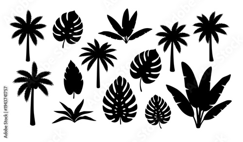 Stylized tropical plant silhouette collection palm trees and jungle leaves vector illustration