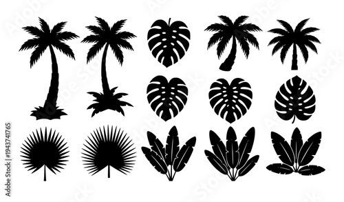 Palm tree and tropical leaf silhouettes collection botanical vector icon set
