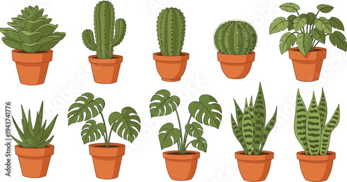 Houseplant and Cactus Potted Plant Collection Featuring Succulent, Monstera, Snake Plant, and Indoor Greenery for Home Decor and Botanical Design