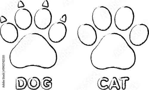 Comparative illustration of dog and cat paw prints with labeled identification isolated on transparent background, Vector