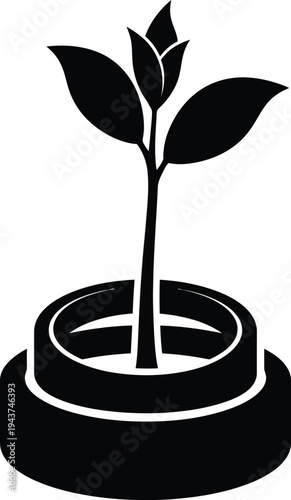 A small plant grows out of a discarded tire in an urban environment.