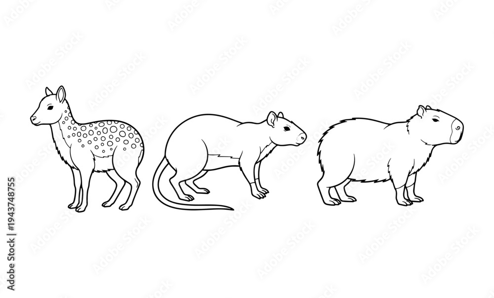 Fototapeta premium Three line art animals including spotted deer rat and capybara coloring page