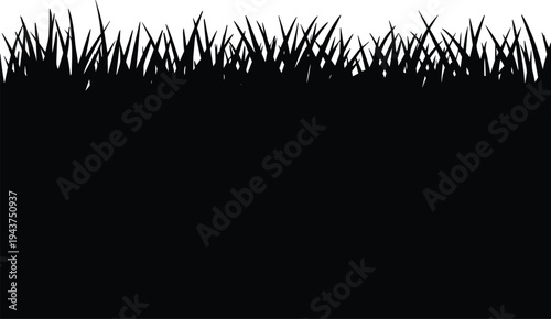 PrintGrass silhouette vector illustration, natural lawn blades artwork, wild meadow design elemen