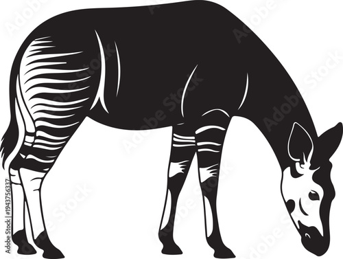 Minimalist Okapi Vector Illustration on white Background, African Wildlife Anima