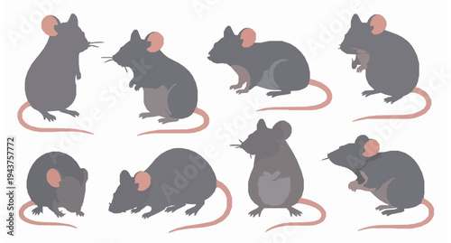 Grey mice in different poses vector illustration rodent animal set EPS 8
