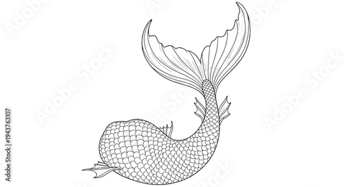 Elegant black and white sketch of a mermaid or large fish tail with detailed scales and flowing fins for nautical fantasy designs.