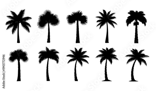 Minimal Palm Tree Silhouette Collection Tropical Beach Plants Vector Isolated on White