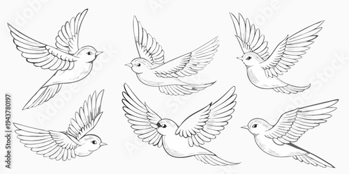 A collection of sketched birds in various flight poses and orientations