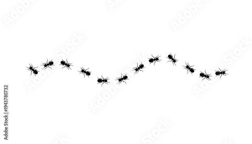 An ant silhouette illustration on a white background in a line formation