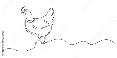 One line drawing of a chicken standing, simple continuous line art illustration of a hen on a white background. Continuous one line drawing of hen. Minimalist poultry farm concept vector illustration.