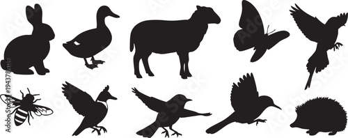 Black silhouette animals and insects on white background animal silhouettes black silhouettes