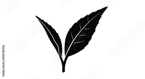 Elegant black leaf design with detailed venation a striking silhouette