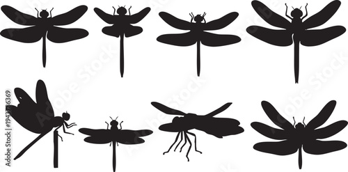 Black silhouette dragonflies on white background dragonfly silhouettes insects