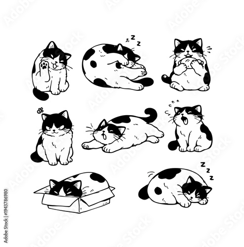 Set Of Eight Cute Chubby Spotted Cat Doodle Illustrations In Various Playful And Lazy Poses Including Yawning And Sleeping Inside A Box Black And White Line Art Sticker Sheet
