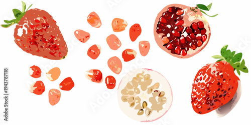Stylized illustration of strawberries pomegranate and scattered fruit pieces