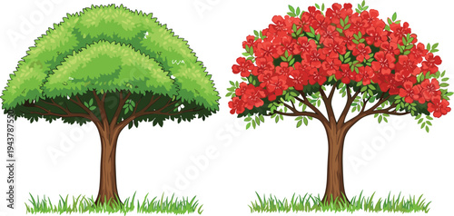 Vibrant green and blooming red flamboyant tree vector illustration set featuring tropical botanical garden foliage isolated on a white background