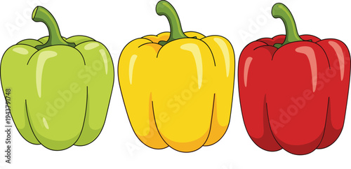 Green Yellow and Red Bell Pepper Set with Fresh Sweet Capsicum Vegetables Isolated on White Background Food Vector Illustration
