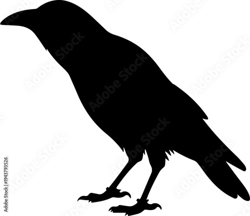 Black Crow Silhouette Vector Isolated on White Background