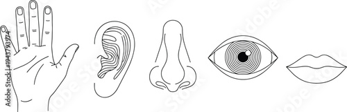 Human Five Senses Line Icons Set with Hand, Ear, Nose, Eye and Lips Isolated on White Background