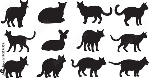 Black silhouettes of nine distinct cats in various poses on white background cat silhouettes