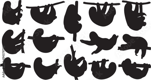 Black silhouettes of sloths hanging from branches