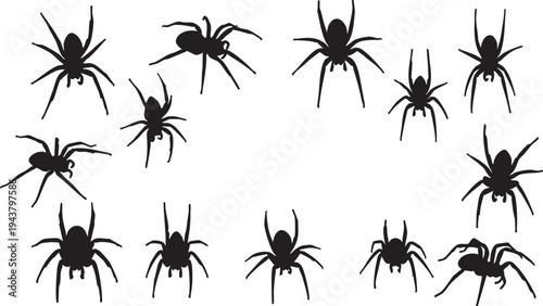 Black silhouettes of ten spiders on white background arachnids creepy crawlies
