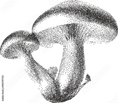 Mushroom y2k retro stipple art shroom brutalist halftone vector png transparent, fungi 2000s photocopy effect tattoo aesthetic