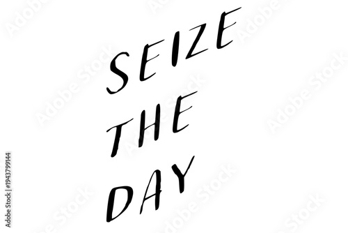 Seize the Day - Seize the Day words on white background, calligraphy, handwritten, vector
