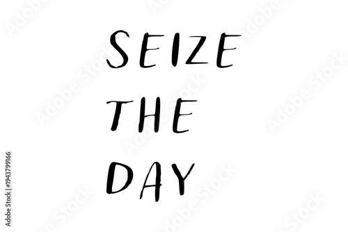 Seize the Day - Seize the Day words on white background, calligraphy, handwritten, vector
