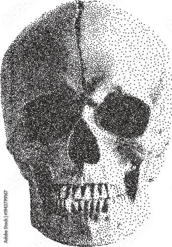 Skull vintage y2k stipple art, bones halftone stipple brutalist retro vector png with transparent background, macabre 2000s aesthetic photocopy effect tattoo