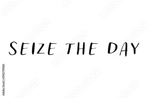 Seize the Day - Seize the Day words on white background, calligraphy, handwritten, vector
