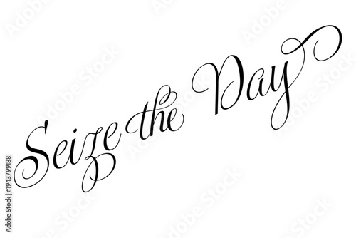 Seize the Day - Seize the Day words on white background, calligraphy, handwritten, vector
