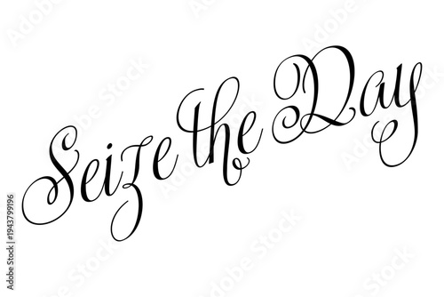 Seize the Day - Seize the Day words on white background, calligraphy, handwritten, vector
