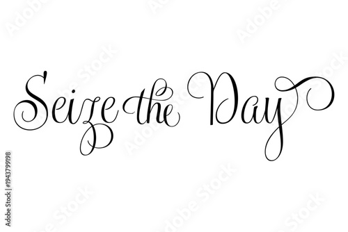 Seize the Day - Seize the Day words on white background, calligraphy, handwritten, vector
