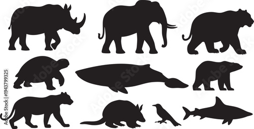 Black silhouettes of various animals on white background animal silhouettes black animals 8