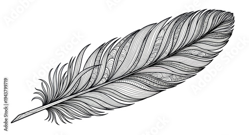 Intricate Black and White Feather Illustration - Delicate Detail, Artistic Drawing