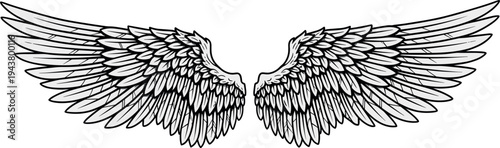 Detailed Angel Wings Line Art Illustration with Symmetrical Feathered Design Black and White Vintage Engraving Style Vector