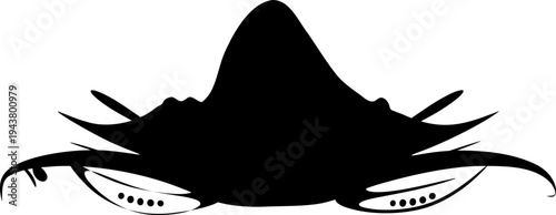 Vector illustration of a black pirate hat and eyes