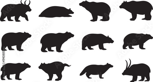 Black silhouettes of various polar animals on white background animal silhouettes black and white